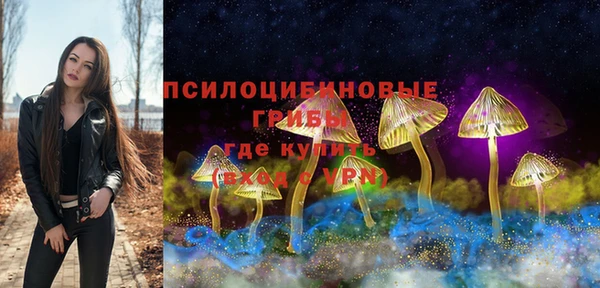 МДПВ Абаза
