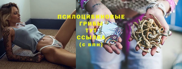 гидропоника Абинск